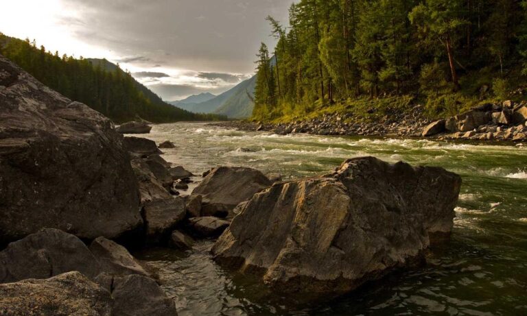 decoration advice kdadesignology