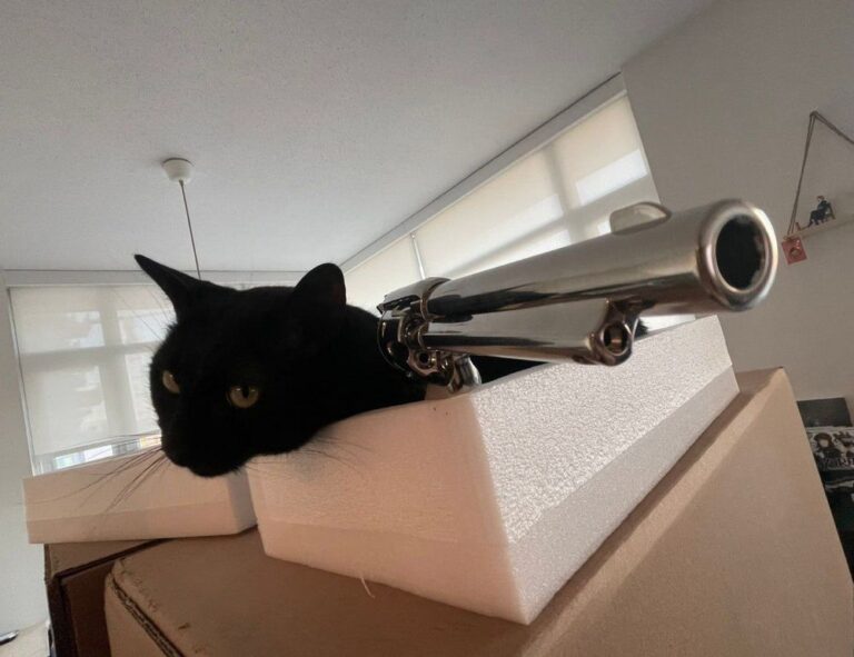 finding the right desk thtintdesign