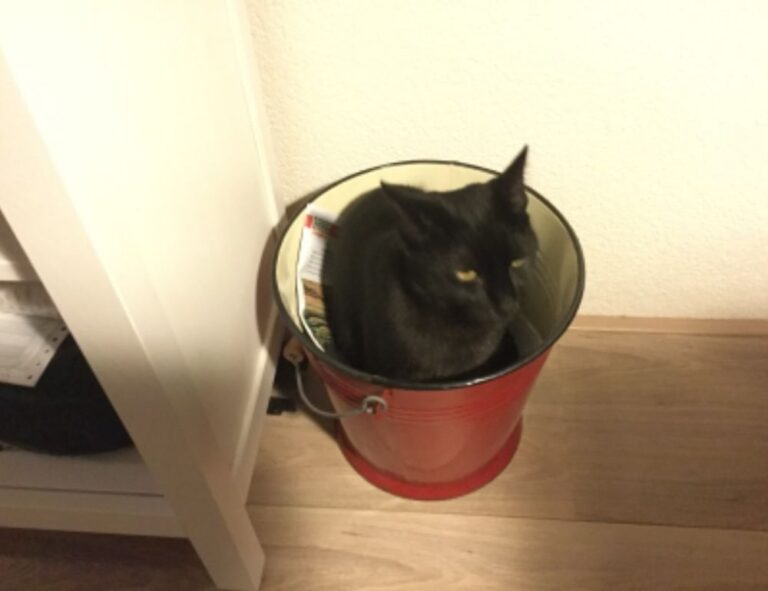 garden decoration kdalandscapetion