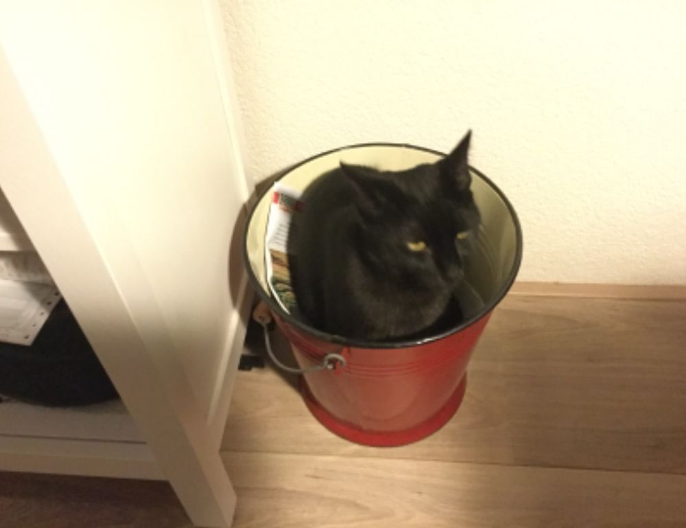 garden decoration kdalandscapetion