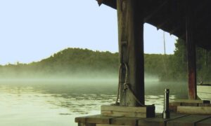 garden designs kdagardenation