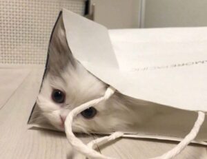 handy tips drhandybility