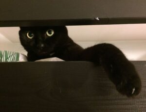 home exterior upgrade homemendous