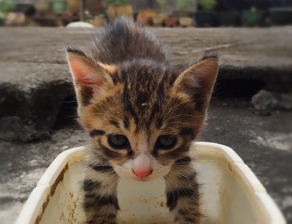 home guide drhandybility