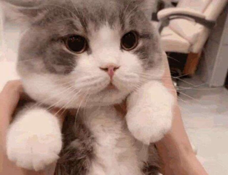 home improvement tips mipimprov