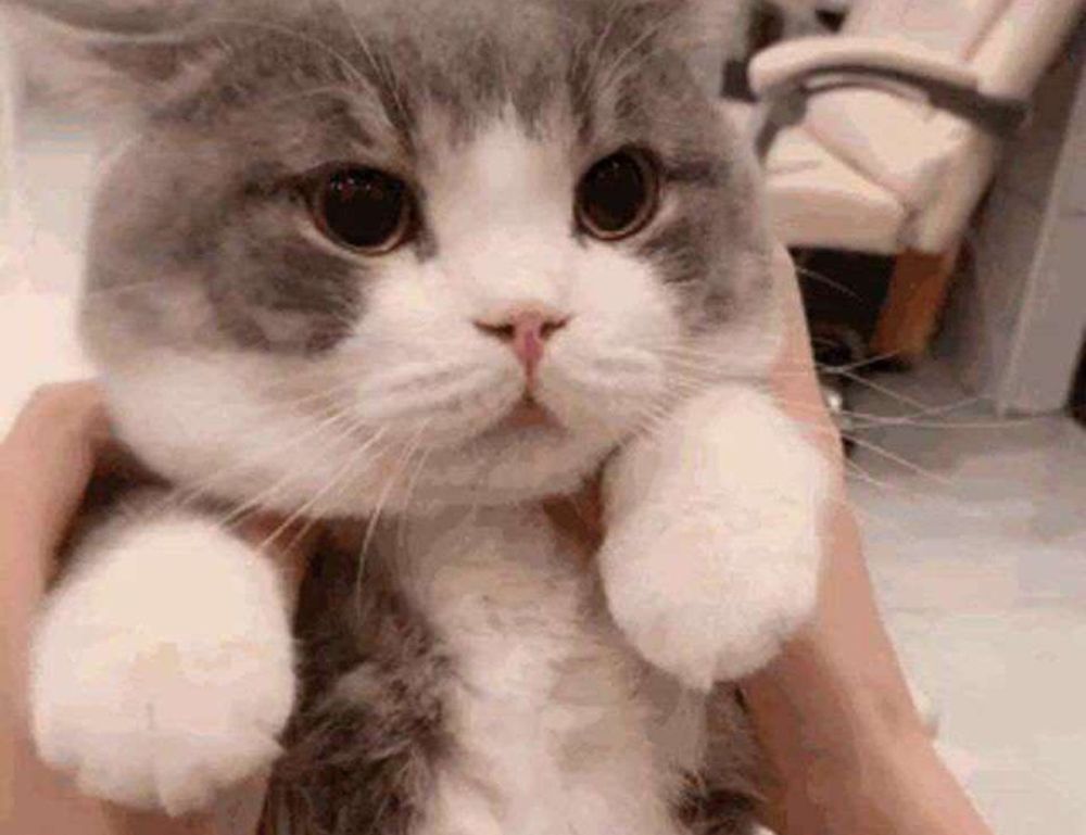 home improvement tips mipimprov