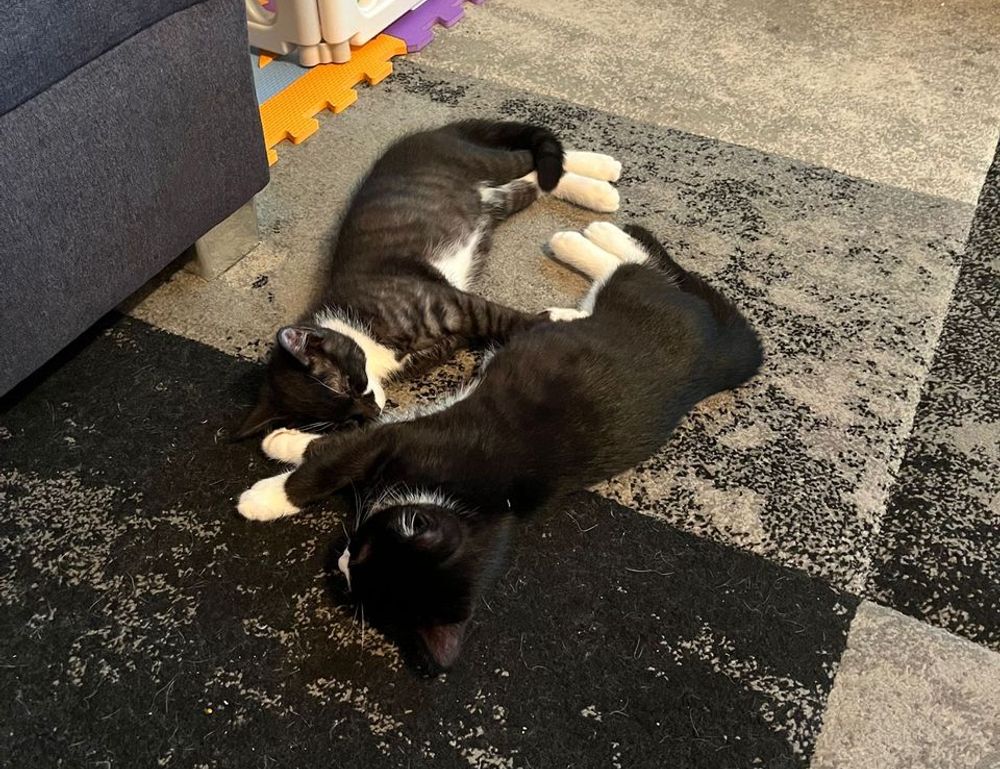 home interior mintpalhouse