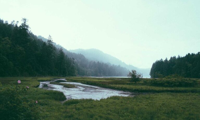 house advice miprenovate