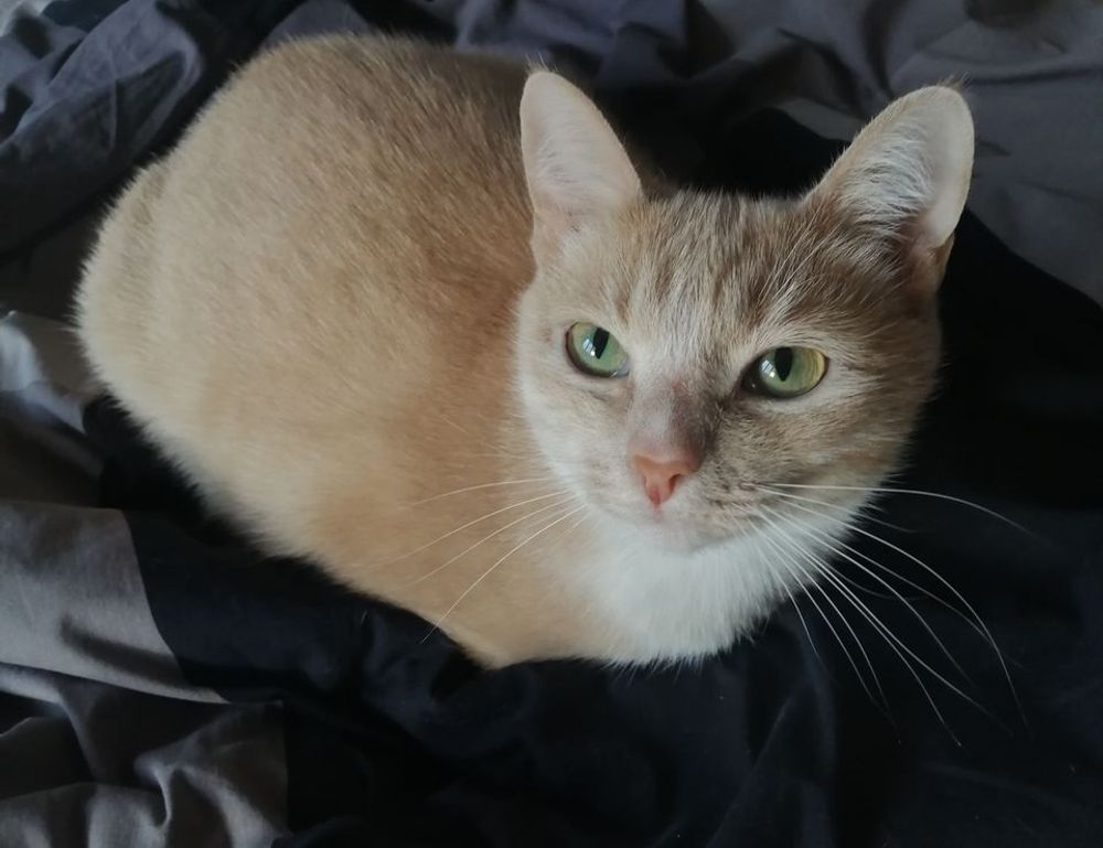 how can interior design affect human behavior kdadesignology