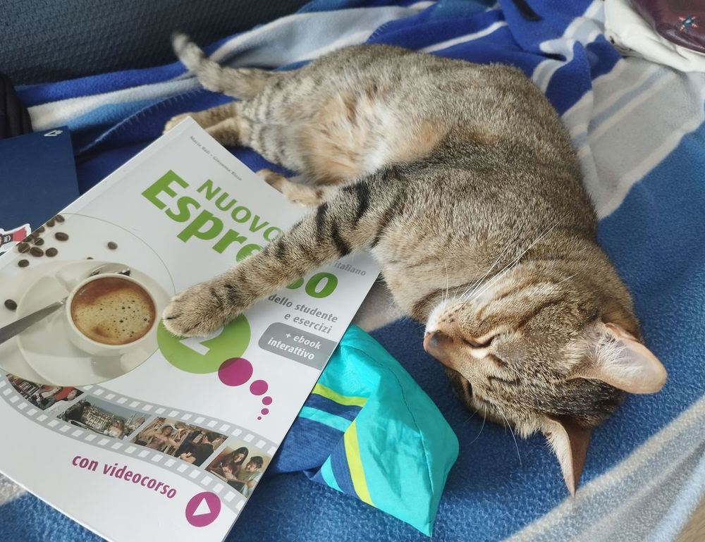 how can shotscribus software be protected