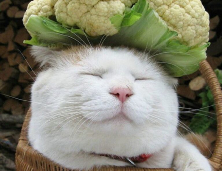 how interior design works mintpalment