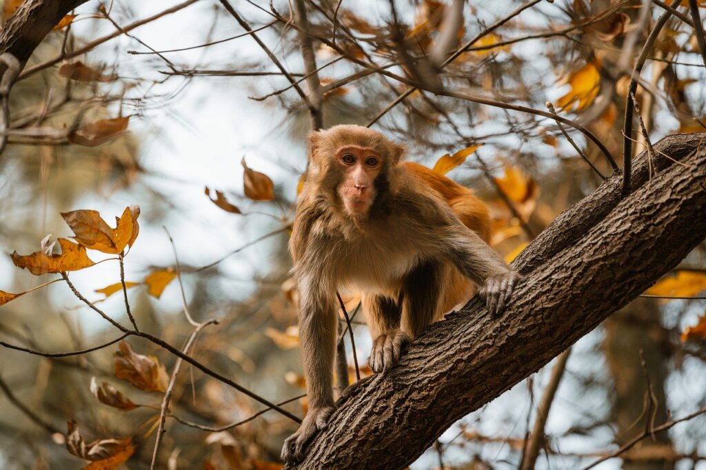 how to keep your gaming setup clean livpristvac