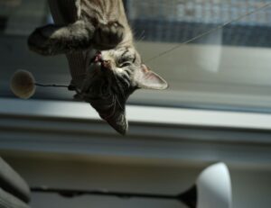 how to make garden decorations kdalandscapetion