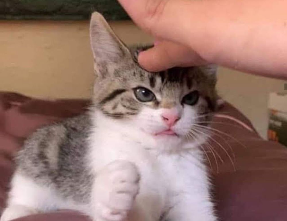 how to set up my apartment homemendous