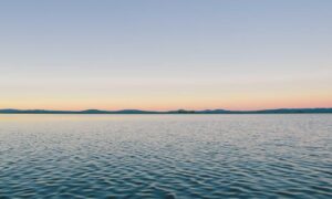 how to upgrade my garden homemendous