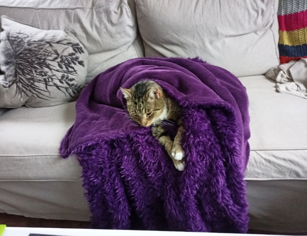 interior home improvements mintpalment