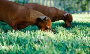 interior mintpalhouse