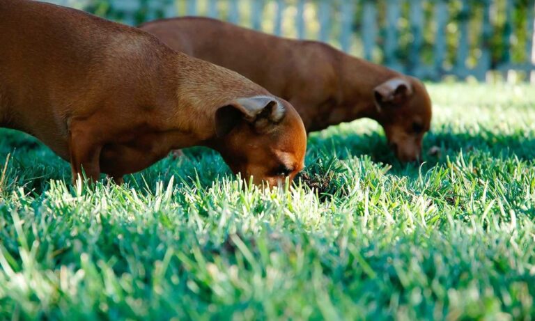 interior mintpalhouse