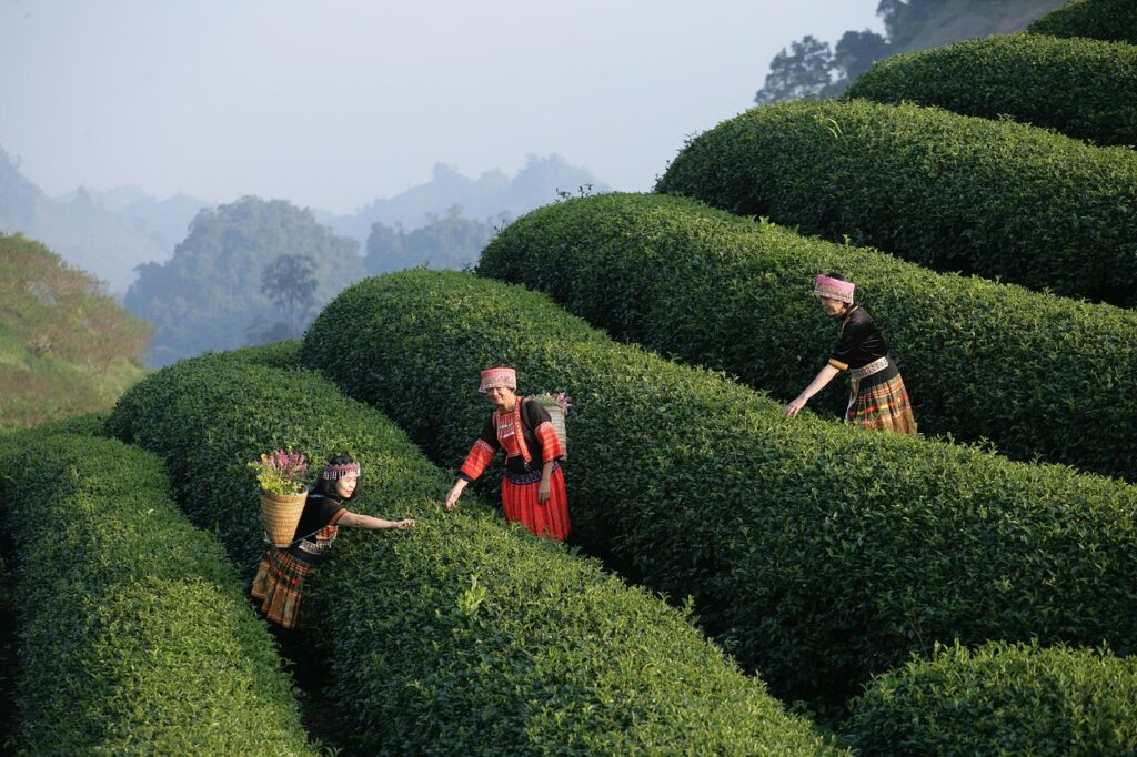 house as multisensory experience