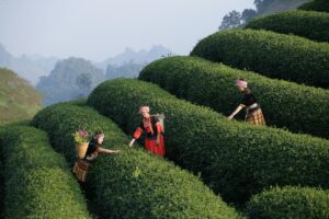 house as multisensory experience