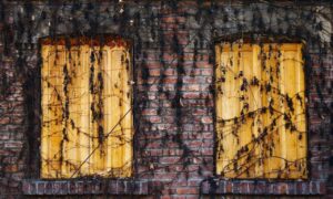 is endbugflow software a software for writing books