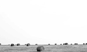 kitchen upgrading tips mintpalment