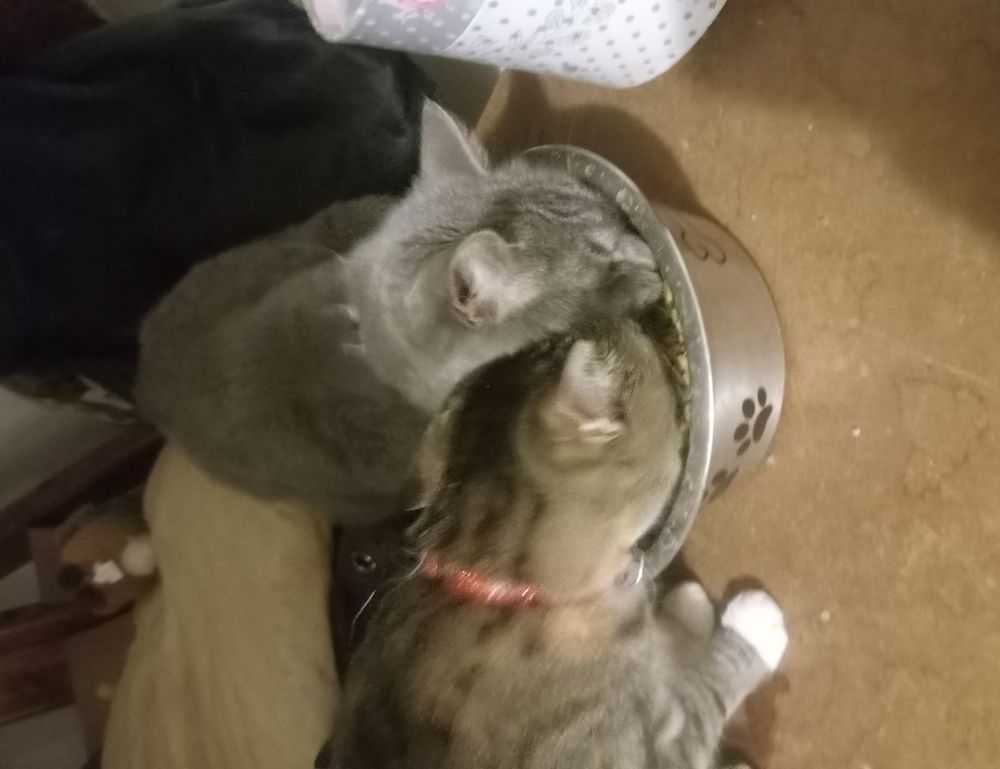 lighting interior mipimprov