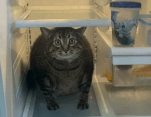 living room decoration mipimprov