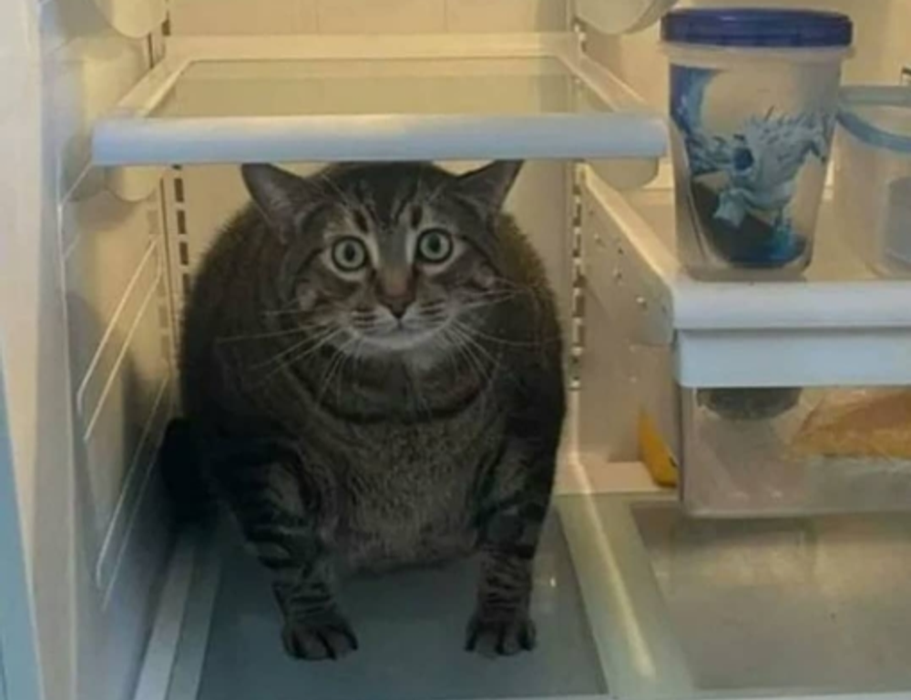 living room decoration mipimprov