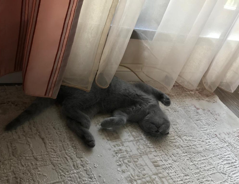 mintpalment home upgrades from myinteriorpalace