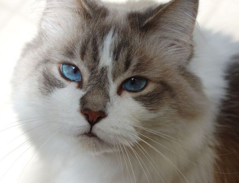 miprenovate cleaning tips from myinteriorpalace