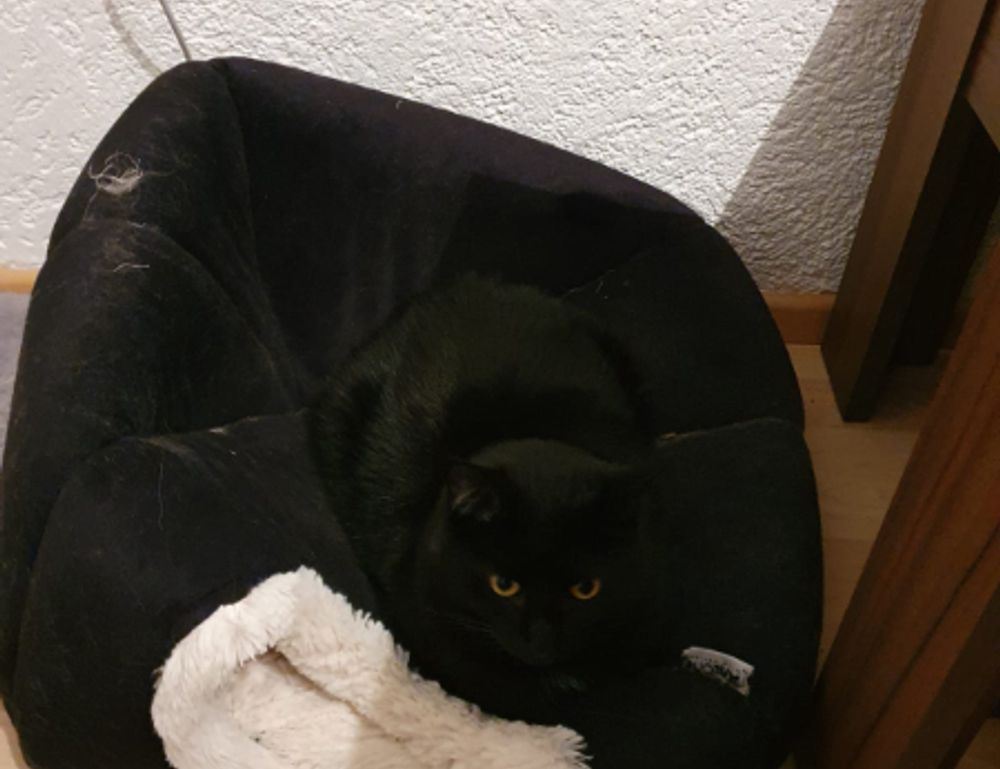 online furniture selection thtintdesign