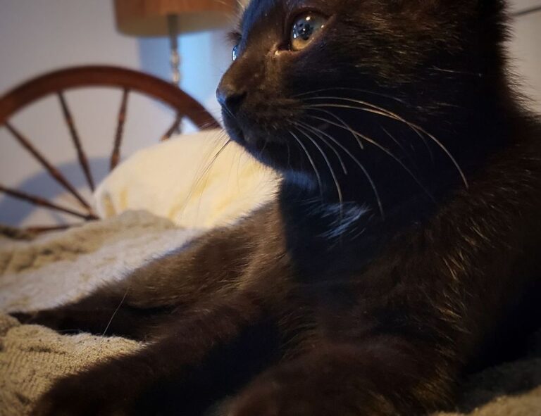 outer design drhextreriorly