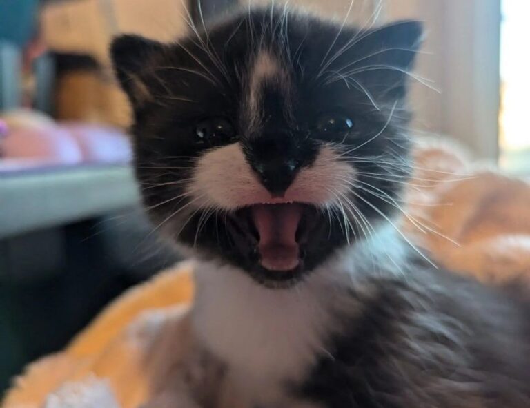 outer home design drhextreriorly