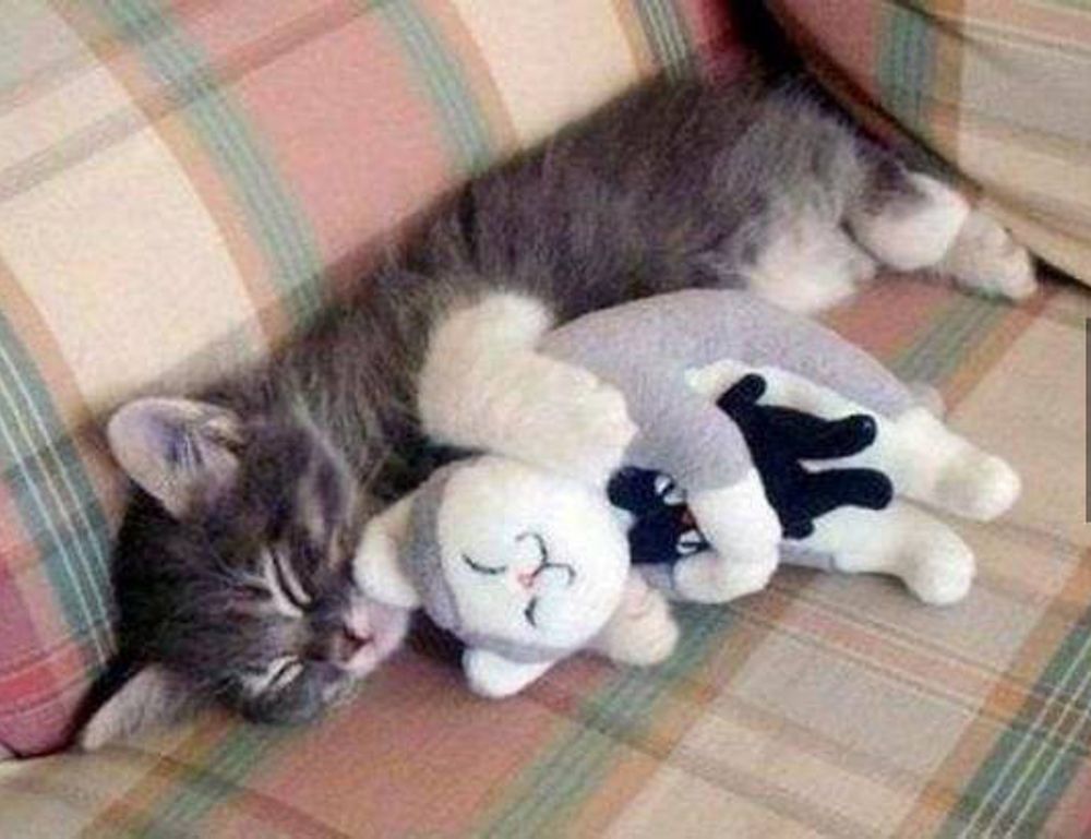 tips for designing a kitchen thtintdesign