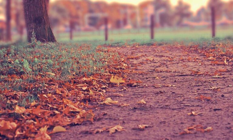 ultimate house guide drhandybility