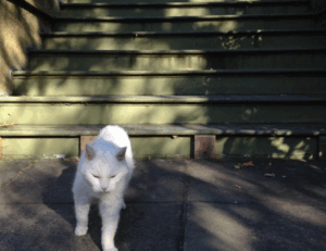 what do exterior designers do drhextreriorly