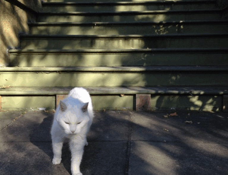 what do exterior designers do drhextreriorly