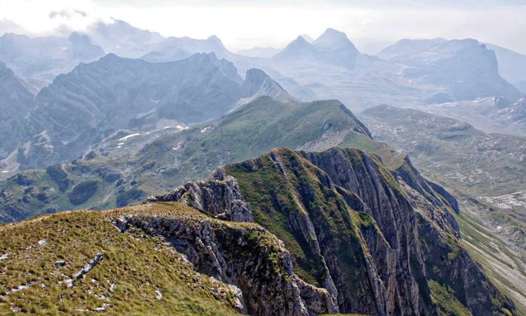 what is coszamdete capital partner account analysis