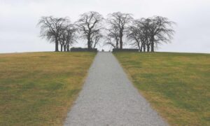 what to look for in safety glasses mrshomegen