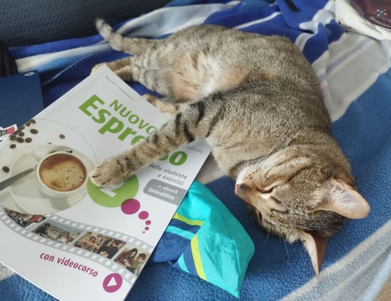 which direction should your garden face kdalandscapetion