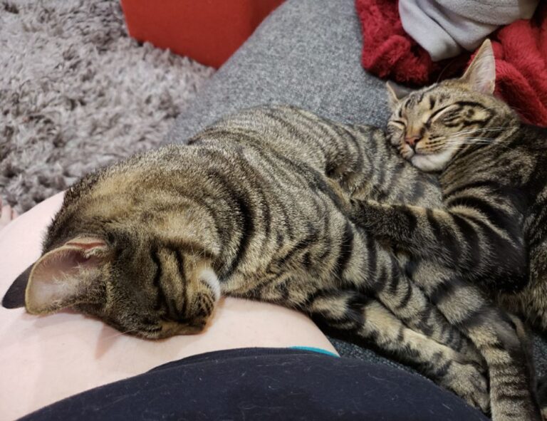 which exterior doors are best drhextreriorly