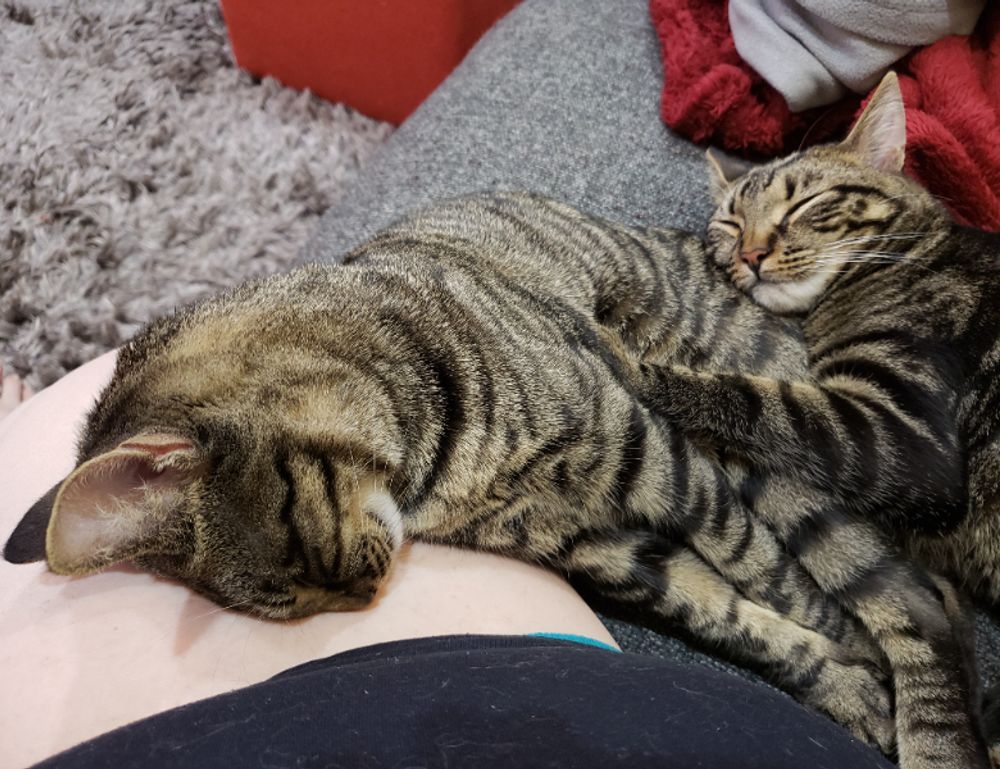 which exterior doors are best drhextreriorly