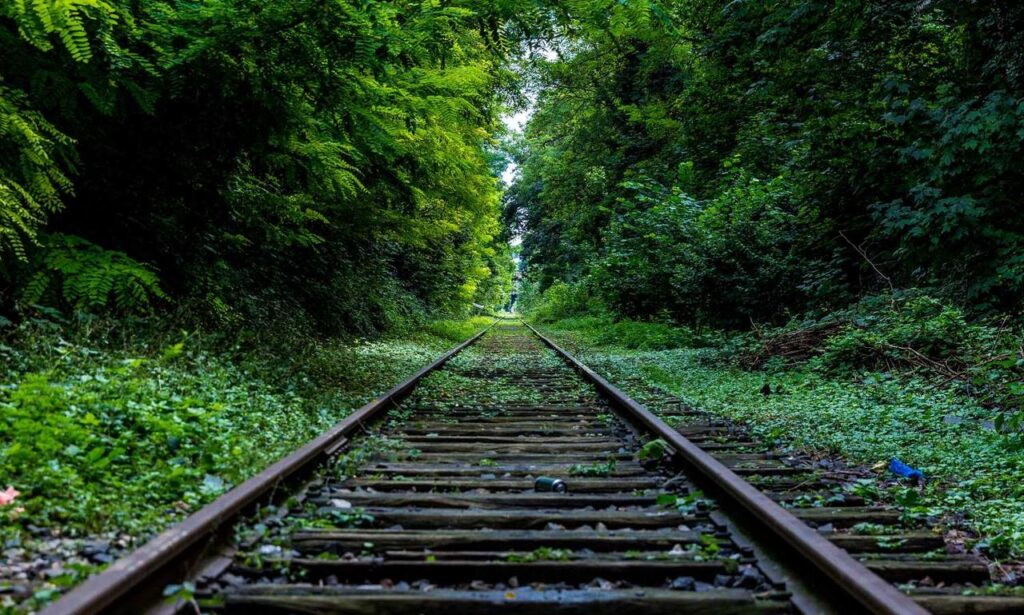 which home insurance is best mrshomegen