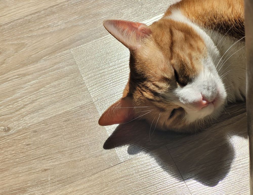 which improvements increase home value mintpalhouse