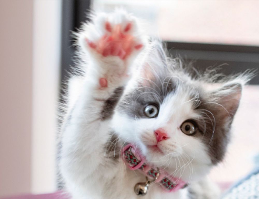 why decoration is important kdalandscapetion