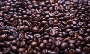 why gardens are important kdagardenation