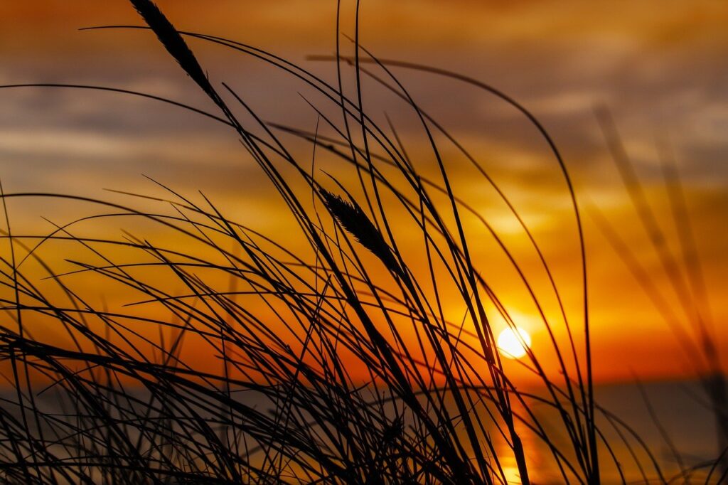 why home improvement is important mintpalhouse