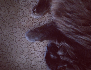 why home insurance is important mrshomegen