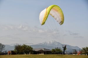 yard designs kdagardenation